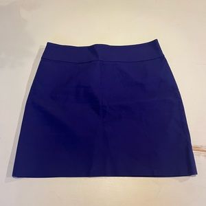 Stunning J Crew Skirt